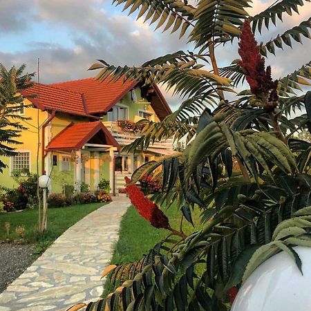 House Antonia Hotel Grabovac  Exterior foto